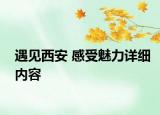 遇见西安 感受魅力详细内容