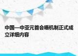 中国—中亚元首会晤机制正式成立详细内容