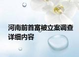 河南前首富被立案调查详细内容
