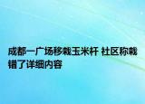 成都一广场移栽玉米杆 社区称栽错了详细内容