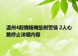 温州4起摘杨梅坠树警情 2人心跳停止详细内容