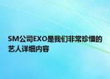 SM公司EXO是我们非常珍惜的艺人详细内容