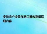 安徽农户凌晨在路口等收割机详细内容