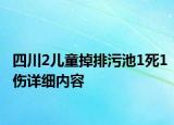 四川2儿童掉排污池1死1伤详细内容