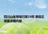 四川山体垮塌已致19死 原因正调查详细内容