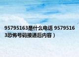 95795163是什么电话 95795163恐怖号码接通后内容）