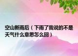 空山新雨后（下雨了我说的不是天气什么意思怎么回）