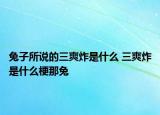 兔子所说的三爽炸是什么 三爽炸是什么梗那兔