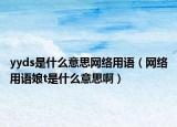 yyds是什么意思网络用语（网络用语娘t是什么意思啊）