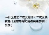 cn什么意思二次元用语（二次元杀软是什么意思贴吧用语纯纯杀软什么梗）
