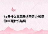 he是什么意思网络用语 小说里的HE是什么结局