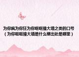 为你疯为你狂为你哐哐撞大墙之类的口号（为你哐哐撞大墙是什么梗出处是哪里）