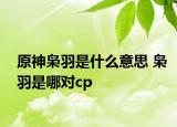 原神枭羽是什么意思 枭羽是哪对cp