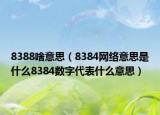 8388啥意思（8384网络意思是什么8384数字代表什么意思）