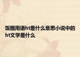 饭圈用语ht是什么意思小说中的ht文学是什么