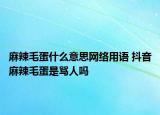 麻辣毛蛋什么意思网络用语 抖音麻辣毛蛋是骂人吗