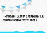 lte网络是什么意思（咕勇者是什么梗网络语咕勇者是什么意思）