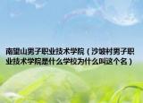 南望山男子职业技术学院（沙坡村男子职业技术学院是什么学校为什么叫这个名）