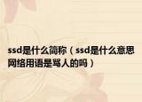 ssd是什么简称（ssd是什么意思网络用语是骂人的吗）