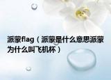 派蒙flag（派蒙是什么意思派蒙为什么叫飞机杯）