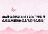 dm什么意思剧本杀（剧本飞页是什么意思剧组通告单上飞页什么意思）
