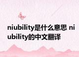 niubility是什么意思 niubility的中文翻译