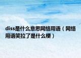 diss是什么意思网络用语（网络用语笑拉了是什么梗）