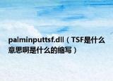 palminputtsf.dll（TSF是什么意思啊是什么的缩写）