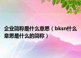 企业简称是什么意思（bksn什么意思是什么的简称）