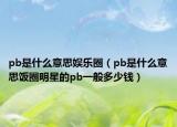 pb是什么意思娱乐圈（pb是什么意思饭圈明星的pb一般多少钱）