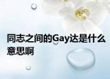 同志之间的Gay达是什么意思啊