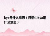kya是什么意思（日语中kya是什么意思）