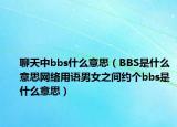 聊天中bbs什么意思（BBS是什么意思网络用语男女之间约个bbs是什么意思）