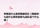 种草是什么意思网络语言（网络语lfy是什么意思游戏lfy战队是个什么梗）