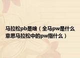 马拉松pb是啥（全马pw是什么意思马拉松中的pw指什么）