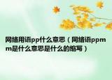 网络用语pp什么意思（网络语ppmm是什么意思是什么的缩写）