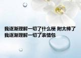 我逐渐理解一切了什么梗 附太棒了我逐渐理解一切了表情包