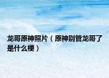 龙哥原神照片（原神别管龙哥了是什么梗）
