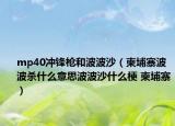 mp40冲锋枪和波波沙（柬埔寨波波杀什么意思波波沙什么梗 柬埔寨）