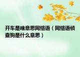 开车是啥意思网络语（网络语侦查狗是什么意思）