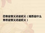 恣意是褒义还是贬义（精苏是什么意思是褒义还是贬义）