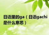 日语里的ga（日语gachi是什么意思）
