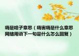 嗨是啥子意思（嗨害嗨是什么意思网络用语下一句是什么怎么回复）