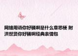 网络用语你好骚啊是什么意思梗 附洪世贤你好骚啊经典表情包