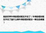 我的世界牛顿的棺材板压不住了（牛顿的棺材板压不住了是什么梗牛顿的棺材板这一梗出自哪里）