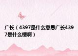 广长（4397是什么意思广长4397是什么梗啊）