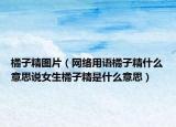 橘子精图片（网络用语橘子精什么意思说女生橘子精是什么意思）