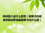 韩语西八是什么意思（新噶卡内啥意思韩语罗渽民新噶卡内什么梗）