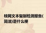 枝网文本复制检测报告(简洁)是什么梗