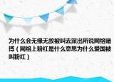为什么会无缘无故被叫去派出所说网络赌博（网络上粉红是什么意思为什么爱国被叫粉红）